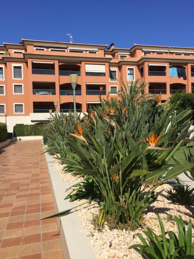 Apartamento Con Terraza Sur *