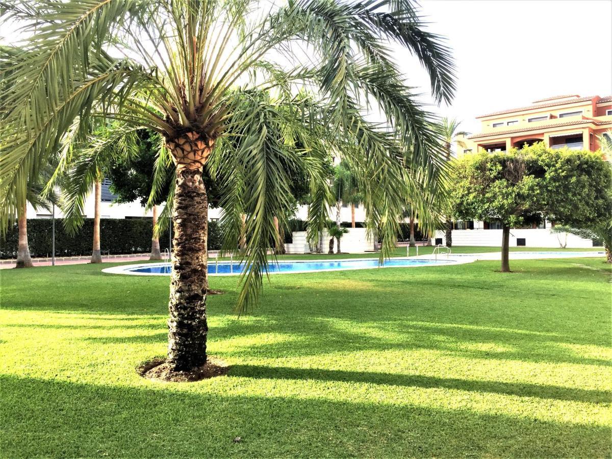 Apartamento Con Terraza Sur